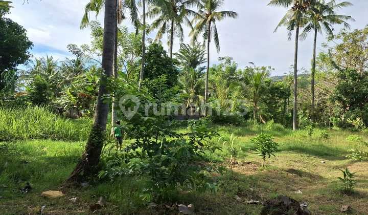 For Sale Land 11 Are Flat And Just 1 Km From Beach