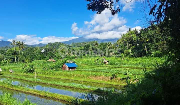 Tanah Disewakan 50 Are atau 1 Hektar dengan Pemandangan Indah, Cocok untuk Resort atau Vila di Area Tirta Gangga
English Translation:
For Lease: 50 Are or 1 Hectare of Land with Stunning Views, Ideal for Resort or Villas in Tirta Gangga Area