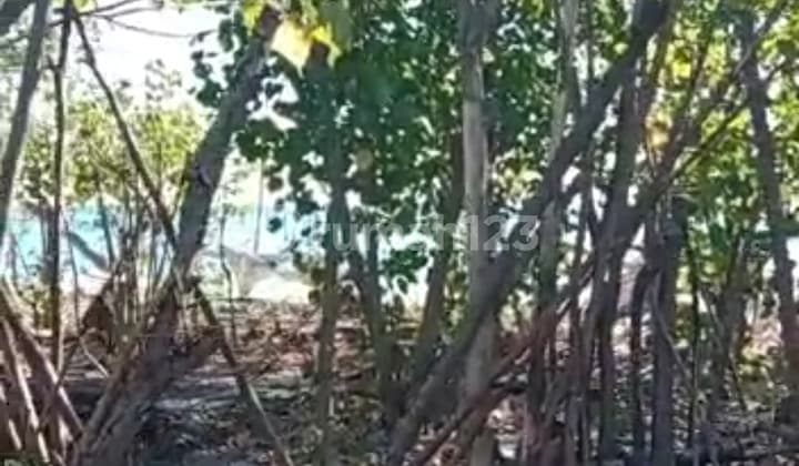 For Sale Land 84 Are Beach Front And In Aspal Road In The Central Pemutaran