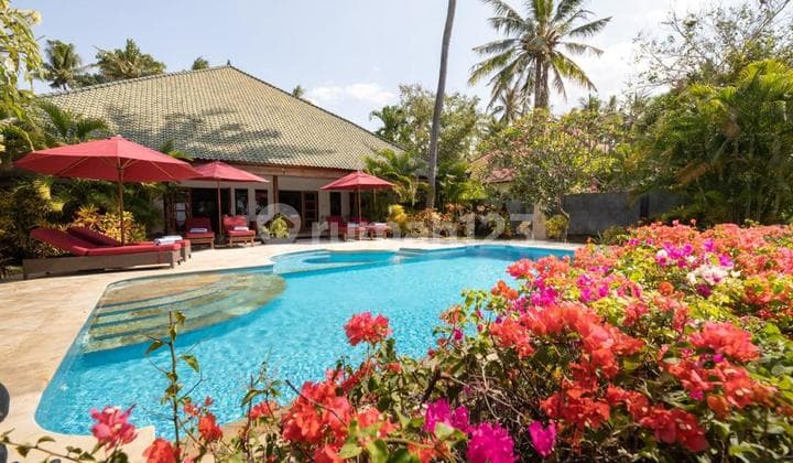 Drop Price For Sale Beach Front Villa In Northbali Good For Income Or Private Living