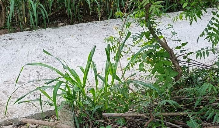 For Sale 9 Are Land In Central Pemutaran Good Diving And Snorking Area