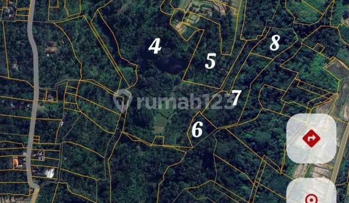 For Sale Land In Payangan Area Good For Villas