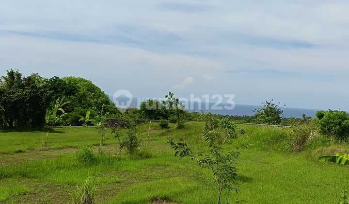 For Sale 10 Are Land With Good View And Flat Land In Lovina