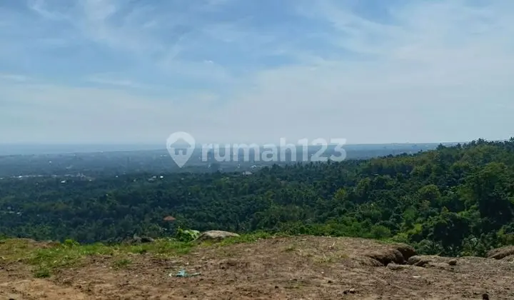 For Sale 10 Are Ocean View Land Just 600 Milion Global