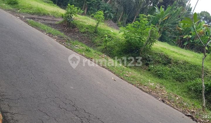 Tanah Murah Pinggir Jalan Aspal Dekat Ke Taman Ujung Cocok Buat Villa And Usaha