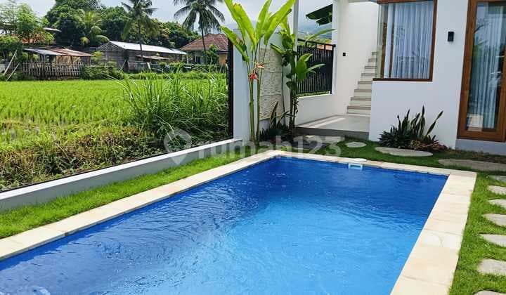 For Sale 2 Br Villa Close To Central Lovina And Rice Field View And Moutain