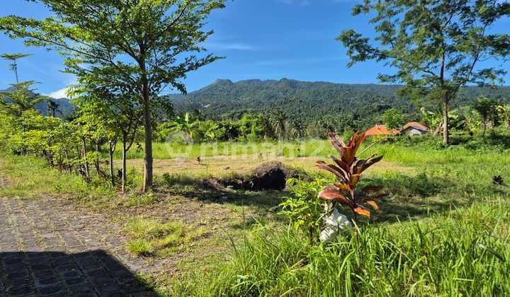 For Sale Land 10 Are With View To The Ricefild