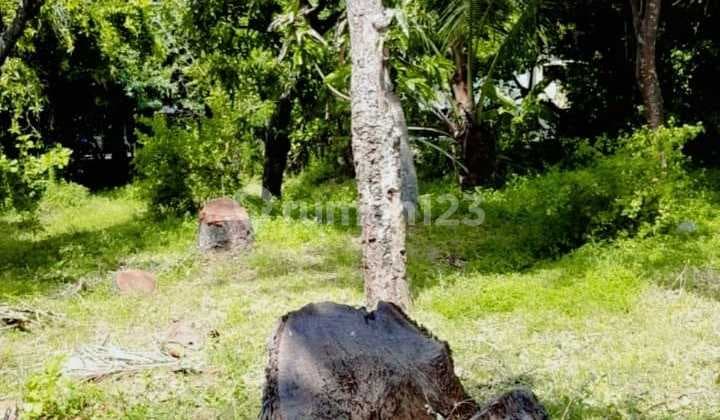 For Sale Beach Front Land In Kubutamhan Area