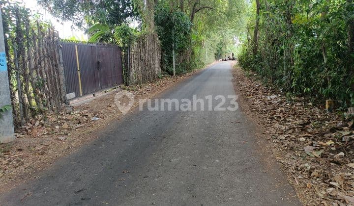 For Sale Freehold Land 300 Meter From The Beach Area Resort And Villa