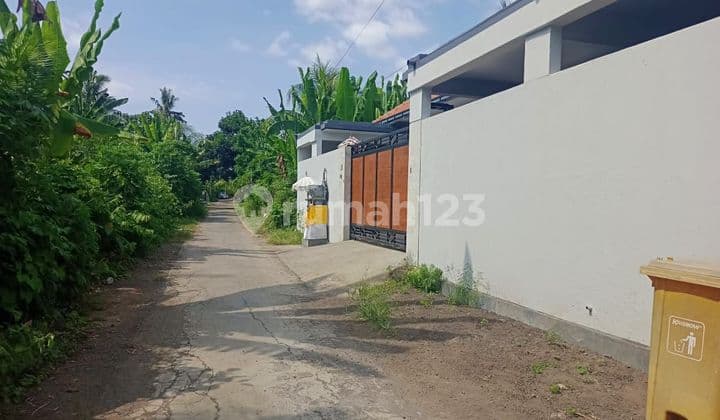 For Sale Good Land For Building Villa And Close To Central Lovina
