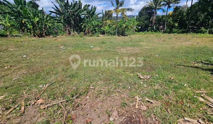 Villa dengan Lahan 12 Are Dijual dan Hanya 5 Menit Berkendara ke Pusat Lovina