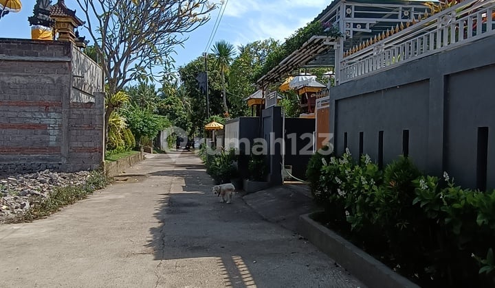 For Sale 2 Unit House In 400 M2 Land Close To Central Lovina