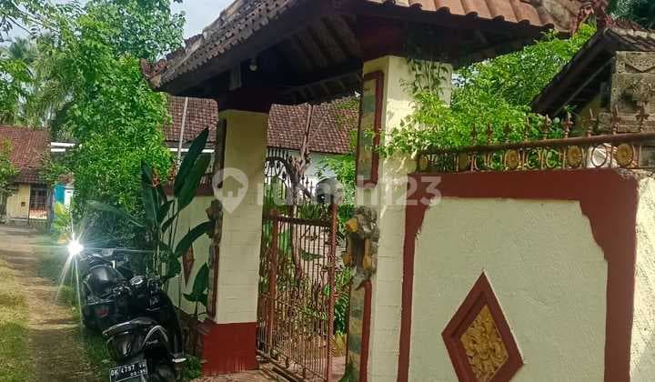 For Sale Local House In Lovina Central