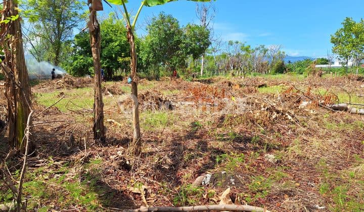 For Sale Land Fantastic View With Good Acces Just 50 Meter To The Beach