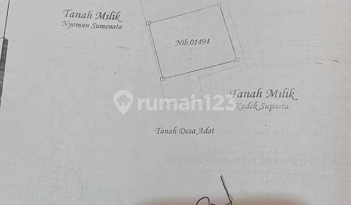 Premium Freehold Land Close To Central Lovina Area Villas
