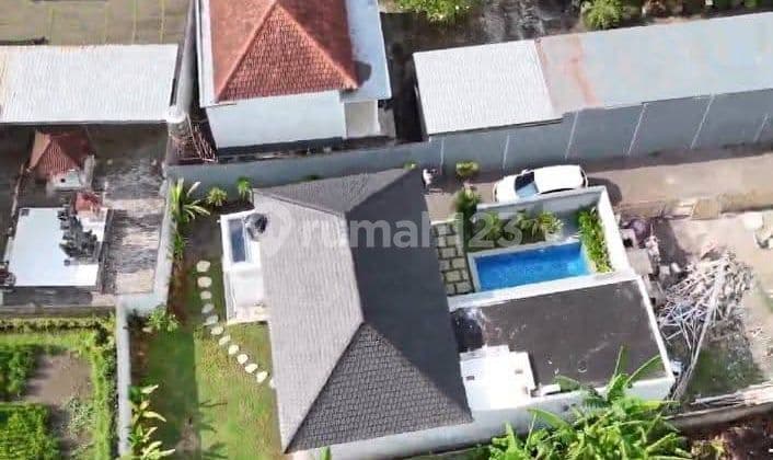 For Sale 2 Bedroom Semi Villa With Ricefild View In Lovina