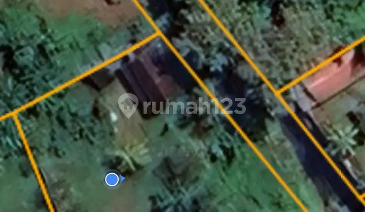 For Sale 10 Are Land Just 4 Minute To The Central And Beach In Lovina Bali
