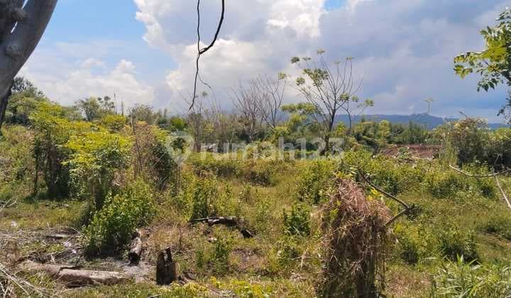 For Sale Land 9 Are Area Seririt Just 400 Meters From Beach