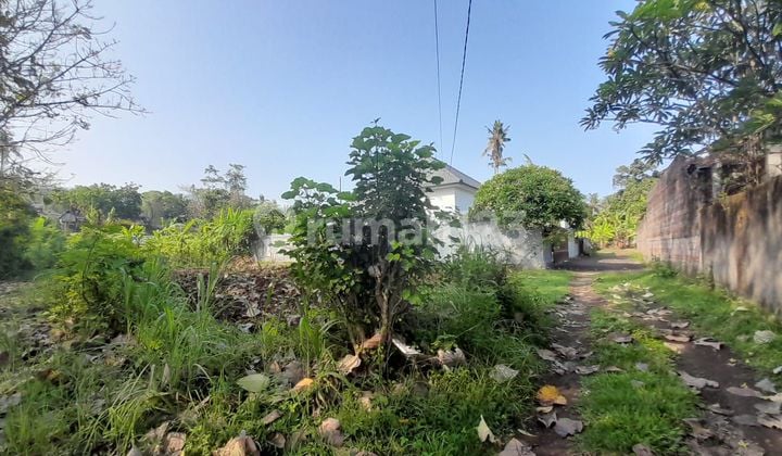 For Sale 3 Are Land On Area Villas Near Lovina Beach