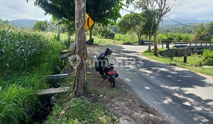 For Sale Land With Beautiful View To Terrace Sawah And Mountain In Aspal Road