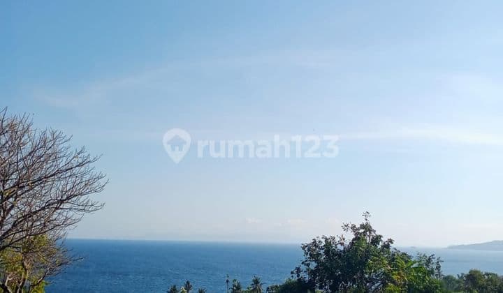 For Sale Land 900 M2 Bonus Local House With Fantastic Views To The Ocean And Jubgle