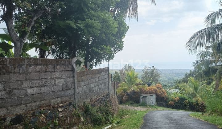 For Sale Ocean View Land Bonus House And Wall Around