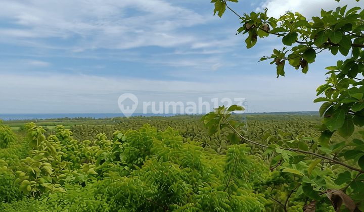 FOR SALE land with fantastic views global just 550 juta