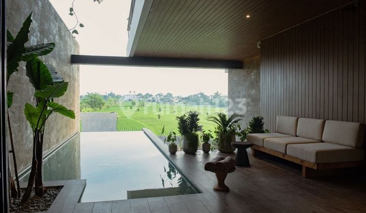 Villa Baru Ready With Private Pool Lokasi Premium Di Canggu Bali