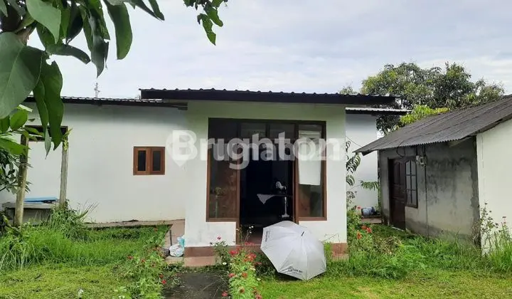 Bungalow Count Land Only in Penebel Tabanan