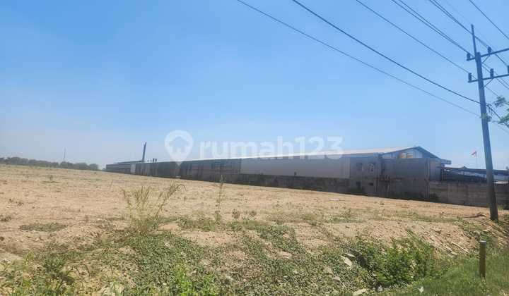 Lahan Siap Bangun Kedamean Gresik