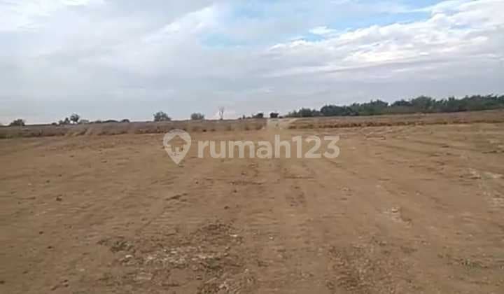Industrial Land Mantub Lamongan