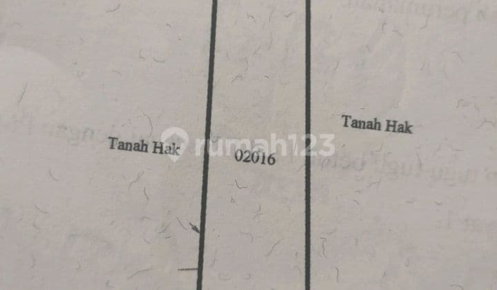 Tanah Dijual 2.5 Jt Radegansari Gresik Surat SHM