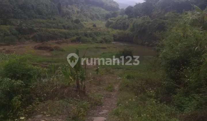 Jual Cepat Tanah 5 Hektar Mojokerto Strategis Area Industri Cuma 200Rb/M2 Nego