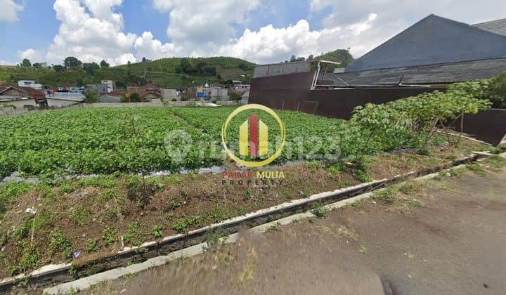 Murah! Tanah Datar Cocok untuk Rumah Tinggal Di Lembang Bandung