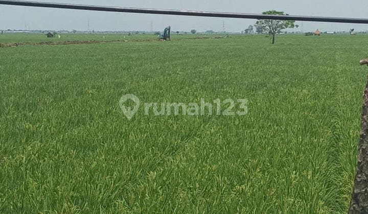 Dijual Tanah Pinggir Jalan Subang Pamanukan