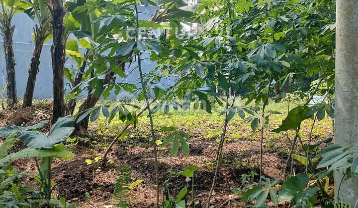 Kavling Posisi Hook Lm 24 Sayap Gegerkalong