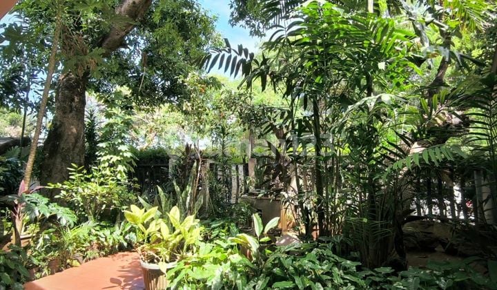 Rumah 2 Lantai Cocok Untuk Tempat Kost Di Pejaten Timur Jakarta Selatan.