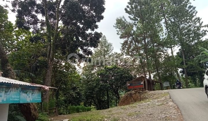 Tanah Dibawah Harga Pasaran Cocok Untuk Villa, Resto Atau Cafe Di Babakan Madang, Sentul Bogor.