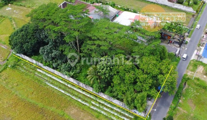 Jual Tanah Jalan Palagan Kilometer 8 Lojajar Cocok Untuk Semua