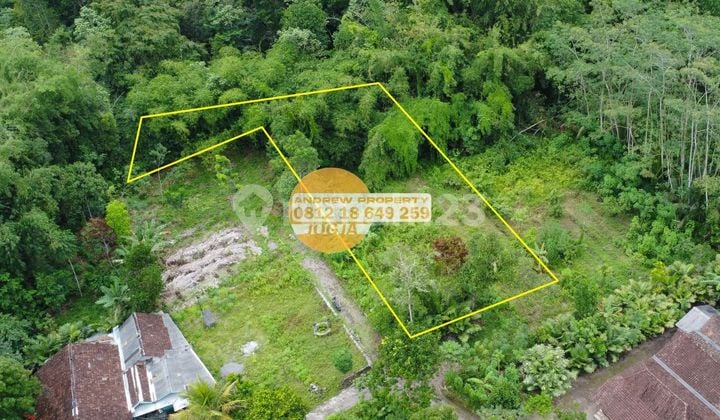 For Sale: Turi Wonokerto Garden Land, Cool and Scenic Location.