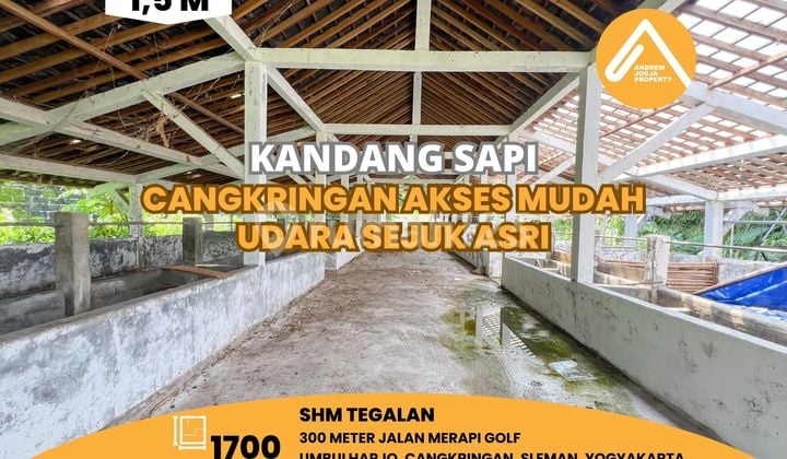 Jual Tanah Cangkringan Cocok Untuk Beternak Sapi Kambing