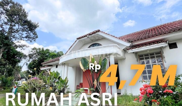 Rumah Asri Sejuk Kota Salatiga Halaman Luas