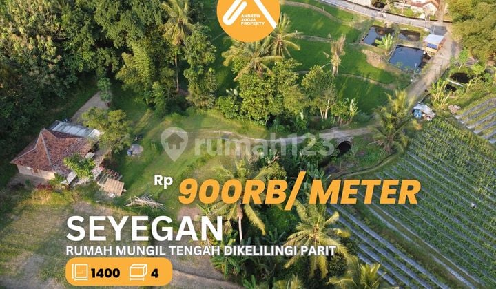 Rumah Mungil Tengah Sawah Kaya View Sayegan