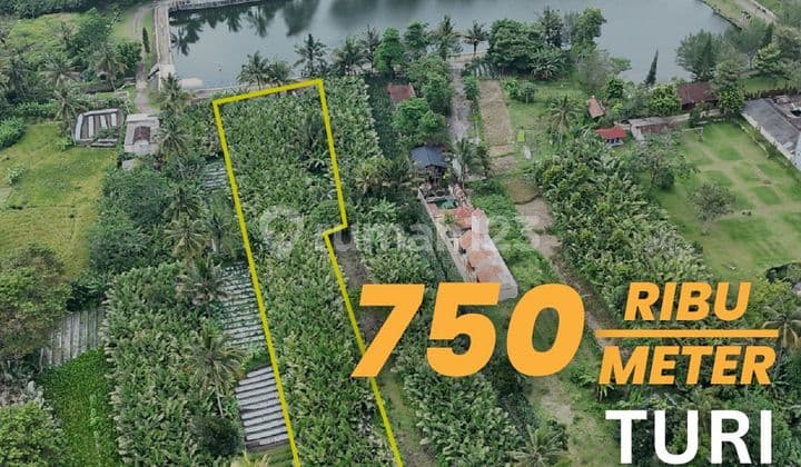 Jual Tanah View Embung Turi Harga Murah Lingkungan Sejuk Asri