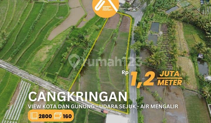 Tanah Cangkringan Pinggir Jalan View Sawah Gunung Kota Air Sejuk