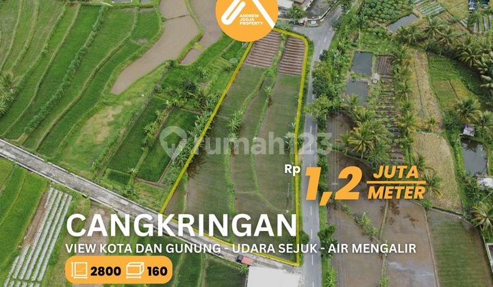 Tanah Cangkringan Pinggir Jalan View Sawah Gunung Kota Air Sejuk