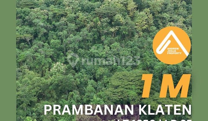 Jual Tanah Dibawah Bukit Dekat Candi Prambanan Harga Nego Sampai Deal