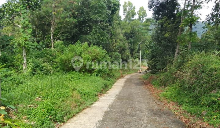 Tanah Karangpandan Asri Pedesaan Cocok Untuk Investasi