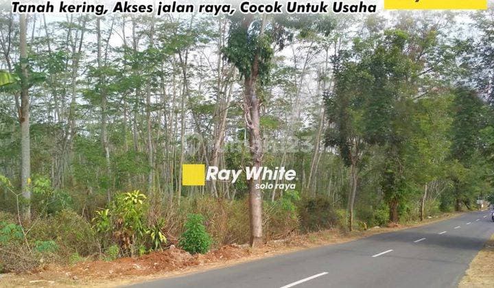 Dijual Tanah Mojogedang Karanganyar, Akses Jalan Lebar