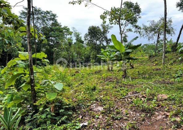 Dijual Tanah Investasi Dll. Mojogedang, Karanganyar.